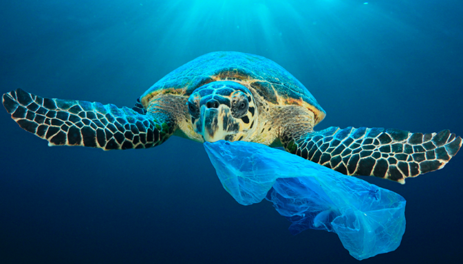 Día libre de bolsas de plástico: 5 consejos para utilizar menos plástico a diario
