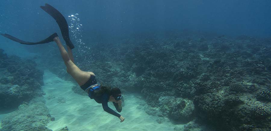 Destinos exóticos en España para amantes de la vida marina